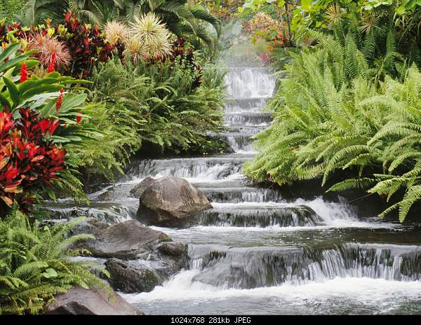 Click image for larger version. 

Name:	Waterfall.jpg‎ 
Views:	123 
Size:	280.9 KB 
ID:	11149