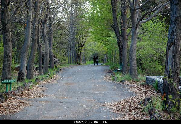 Click image for larger version. 

Name:	DSC_6481.jpg 
Views:	79 
Size:	172.0 KB 
ID:	13703