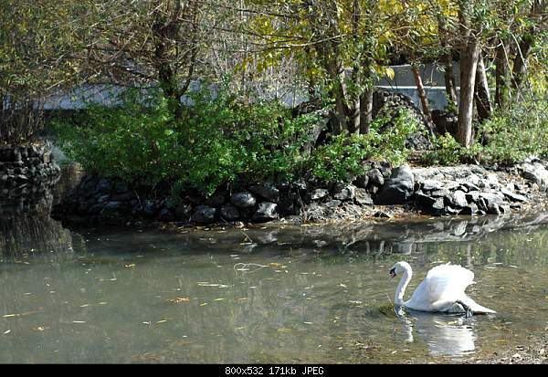 Click image for larger version. 

Name:	DSC_1364.jpg 
Views:	53 
Size:	170.8 KB 
ID:	13718