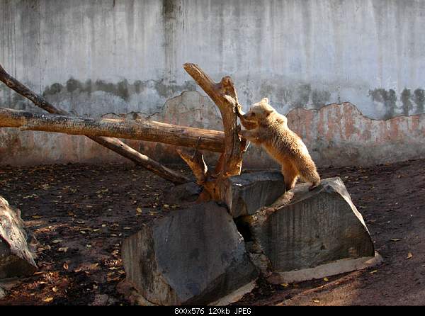 Click image for larger version. 

Name:	DSC_1326k.jpg 
Views:	61 
Size:	120.1 KB 
ID:	13747