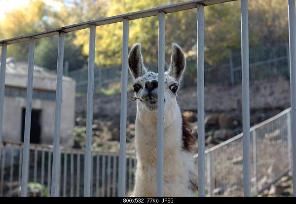 Click image for larger version. 

Name:	DSC_1365.jpg 
Views:	66 
Size:	76.8 KB 
ID:	13852
