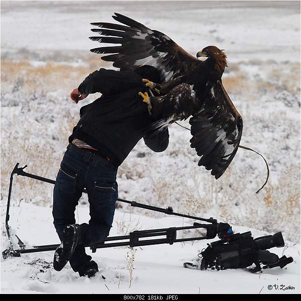 Click image for larger version. 

Name:	3531647_large.jpg 
Views:	60 
Size:	181.1 KB 
ID:	13882