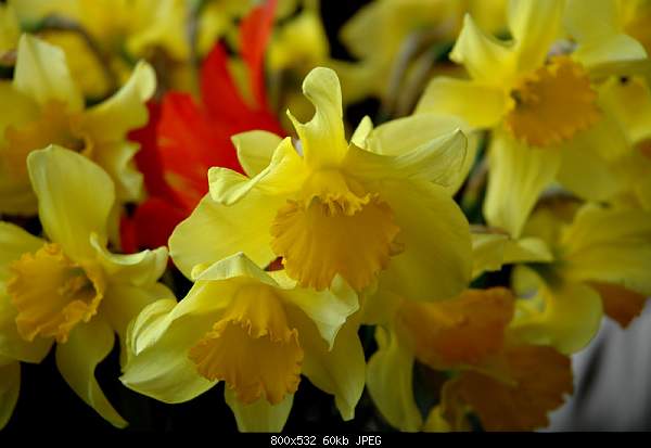 Click image for larger version. 

Name:	DSC_0978w.jpg 
Views:	63 
Size:	59.5 KB 
ID:	14022