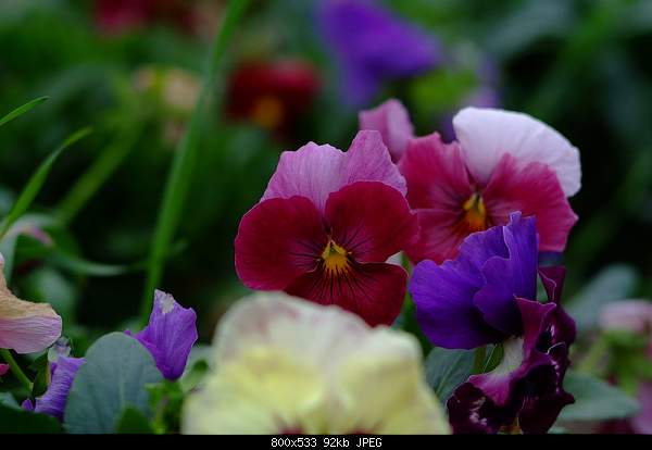 Click image for larger version. 

Name:	1003676.jpg 
Views:	116 
Size:	92.4 KB 
ID:	14891