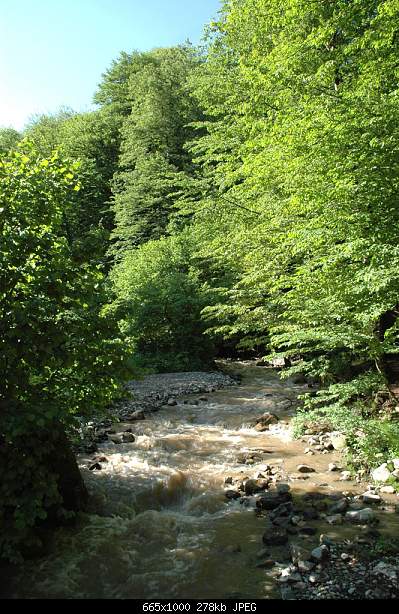 Click image for larger version. 

Name:	DSC_1734.jpg 
Views:	55 
Size:	278.1 KB 
ID:	15335