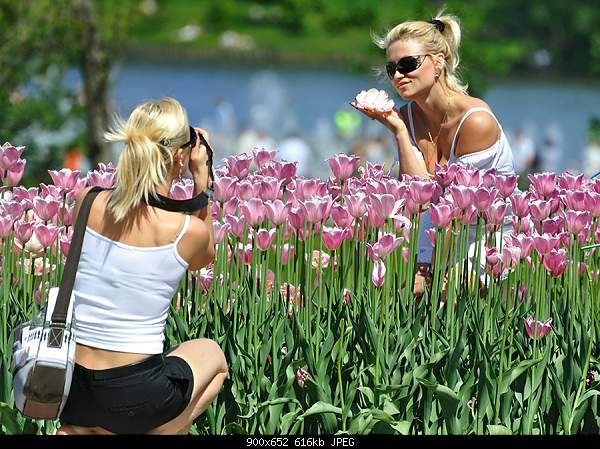 Click image for larger version. 

Name:	951696.jpg 
Views:	65 
Size:	616.3 KB 
ID:	15408