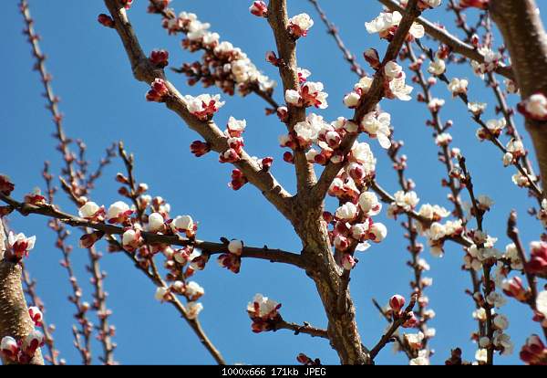 Click image for larger version. 

Name:	100_3274.jpg 
Views:	51 
Size:	171.0 KB 
ID:	15417