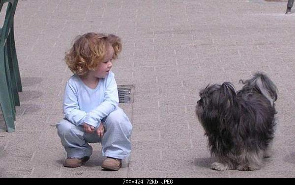 Click image for larger version. 

Name:	mal_sob.jpg 
Views:	65 
Size:	71.8 KB 
ID:	15446