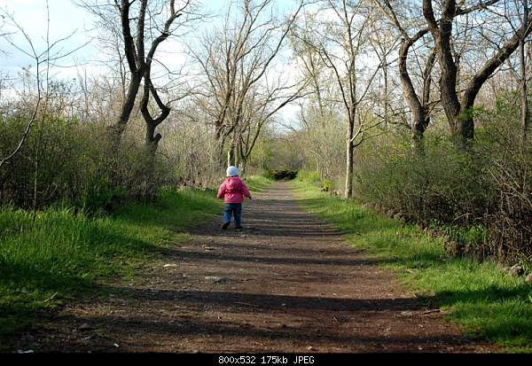Click image for larger version. 

Name:	DSC_6408.jpg 
Views:	60 
Size:	175.4 KB 
ID:	15501