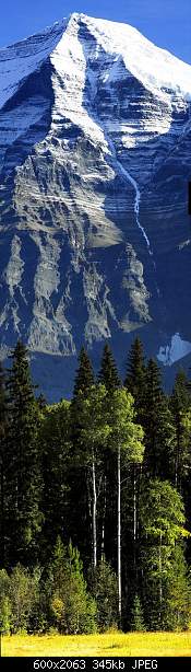 Click image for larger version. 

Name:	Photopodborka_006.jpg 
Views:	59 
Size:	344.5 KB 
ID:	15555