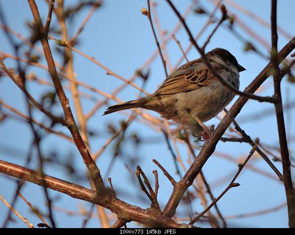 Click image for larger version. 

Name:	DSC_4326.jpg 
Views:	75 
Size:	145.3 KB 
ID:	15574