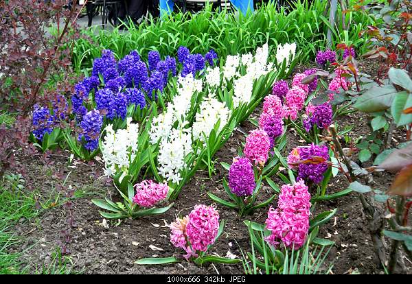 Click image for larger version. 

Name:	100_3287.jpg 
Views:	78 
Size:	341.9 KB 
ID:	15734