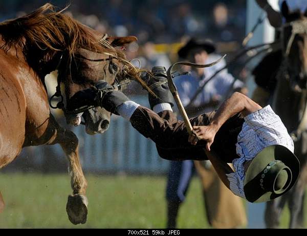 Click image for larger version. 

Name:	Photopodborka_134.jpg 
Views:	65 
Size:	59.2 KB 
ID:	15827