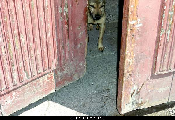 Click image for larger version. 

Name:	100_2095.jpg 
Views:	62 
Size:	195.1 KB 
ID:	16020