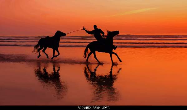 Click image for larger version. 

Name:	photo_01.jpg 
Views:	48 
Size:	34.9 KB 
ID:	16022