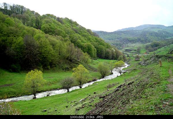 Click image for larger version. 

Name:	100_3428.jpg 
Views:	102 
Size:	202.9 KB 
ID:	16290