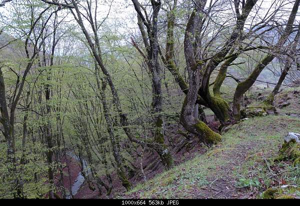 Click image for larger version. 

Name:	DSC_6067.jpg 
Views:	90 
Size:	563.1 KB 
ID:	16305