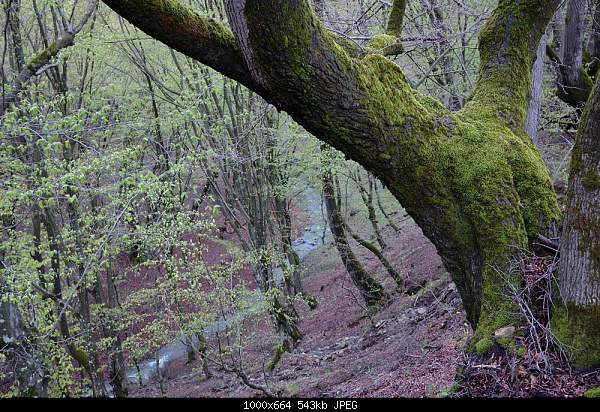 Click image for larger version. 

Name:	DSC_6077.jpg 
Views:	63 
Size:	543.1 KB 
ID:	16559