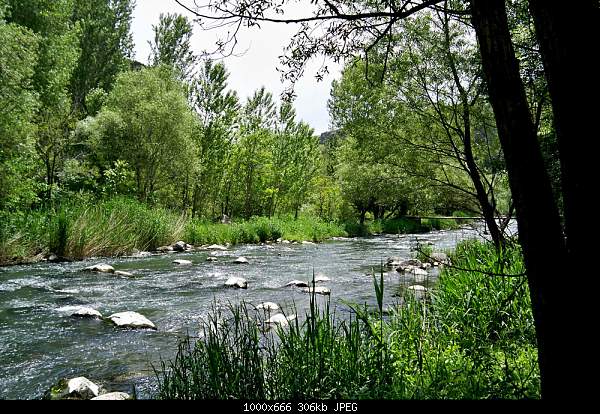 Click image for larger version. 

Name:	100_3726.jpg 
Views:	47 
Size:	306.3 KB 
ID:	16624