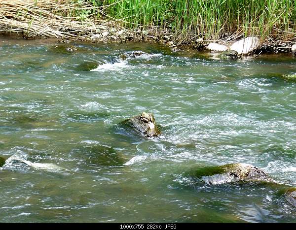 Click image for larger version. 

Name:	100_3782.jpg 
Views:	56 
Size:	281.6 KB 
ID:	16634