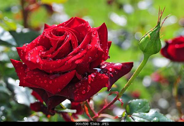 Click image for larger version. 

Name:	10490eae19f3.jpg 
Views:	124 
Size:	534.4 KB 
ID:	16649