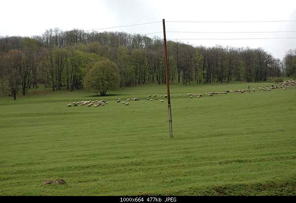 Click image for larger version. 

Name:	DSC_6088.jpg 
Views:	53 
Size:	476.5 KB 
ID:	16755