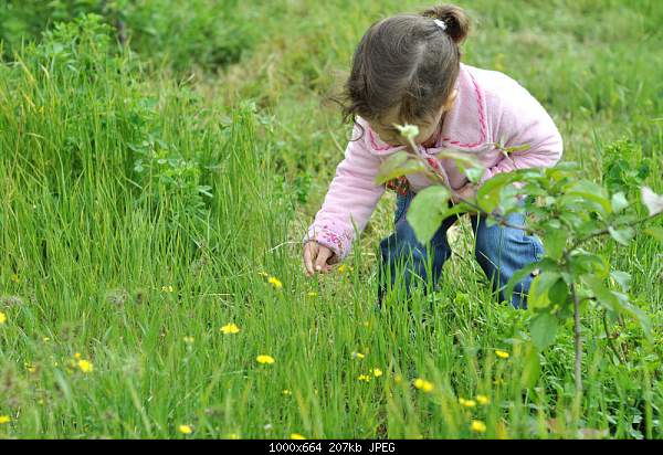 Click image for larger version. 

Name:	DSC_0861.jpg 
Views:	78 
Size:	207.4 KB 
ID:	16756