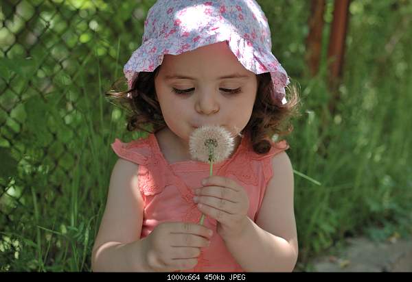 Click image for larger version. 

Name:	DSC_6672.jpg 
Views:	80 
Size:	450.0 KB 
ID:	16757