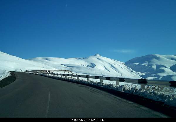 Click image for larger version. 

Name:	100_1235.jpg 
Views:	42 
Size:	78.4 KB 
ID:	16862