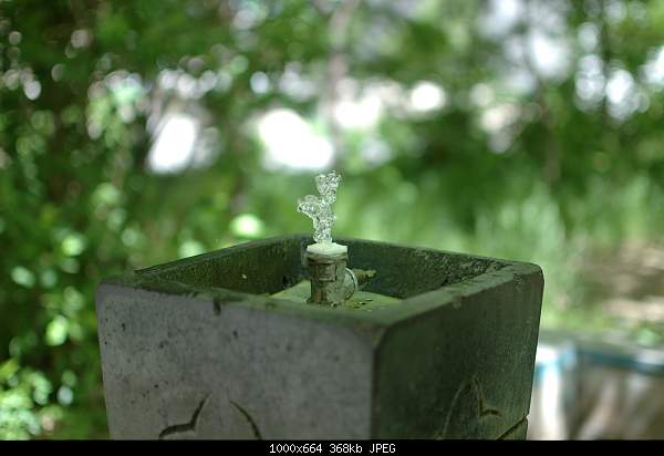Click image for larger version. 

Name:	DSC_6410.jpg 
Views:	70 
Size:	368.2 KB 
ID:	16905