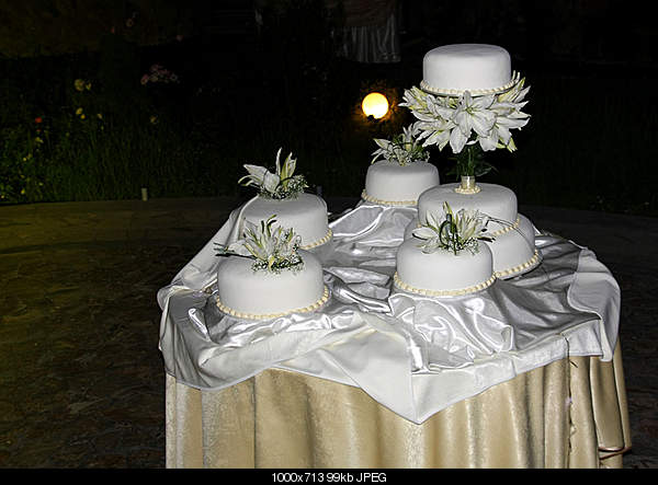 Click image for larger version. 

Name:	IMG_2813.jpg 
Views:	57 
Size:	99.1 KB 
ID:	17281