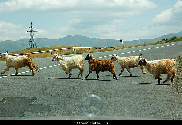 Click image for larger version. 

Name:	DSC_7181.jpg 
Views:	62 
Size:	479.6 KB 
ID:	17411