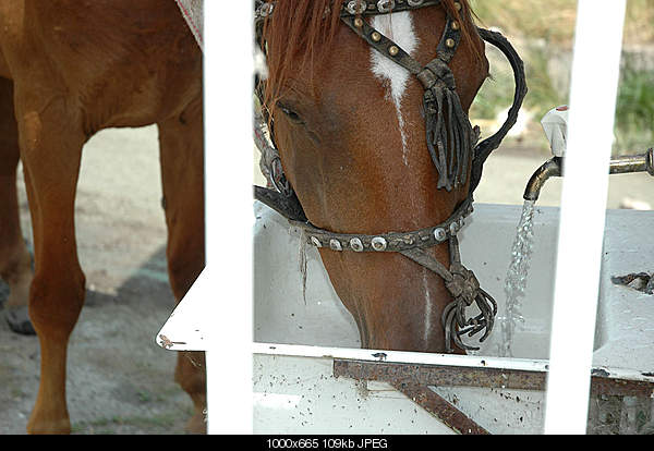 Click image for larger version. 

Name:	DSC_7878.jpg 
Views:	89 
Size:	108.6 KB 
ID:	17514