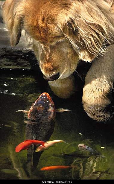 Click image for larger version. 

Name:	druzhba015k.jpg 
Views:	85 
Size:	85.9 KB 
ID:	17536