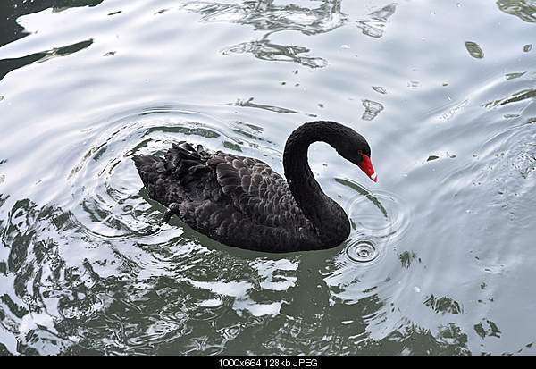 Click image for larger version. 

Name:	DSC_2755.jpg 
Views:	68 
Size:	127.8 KB 
ID:	17590