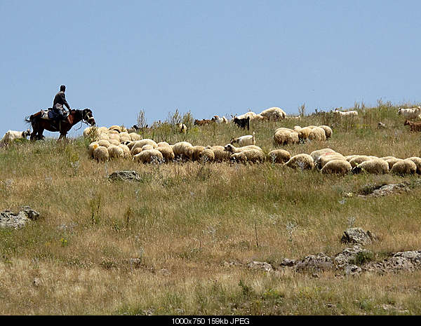 Click image for larger version. 

Name:	IMG_7765.jpg 
Views:	71 
Size:	159.4 KB 
ID:	17626