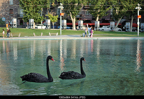 Click image for larger version. 

Name:	DSC_8020.jpg 
Views:	38 
Size:	540.9 KB 
ID:	17763