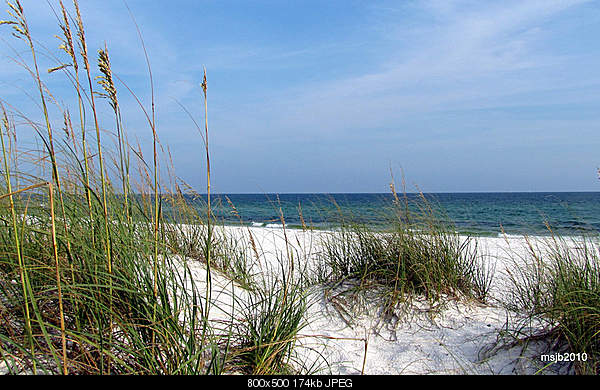 Click image for larger version. 

Name:	Friday August 6, 2010 Fort Walton Beach, FL.jpg‎ 
Views:	57 
Size:	174.1 KB 
ID:	17779