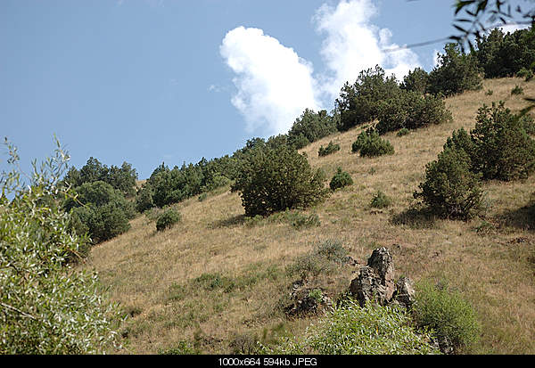 Click image for larger version. 

Name:	DSC_7389.jpg 
Views:	43 
Size:	594.2 KB 
ID:	17786