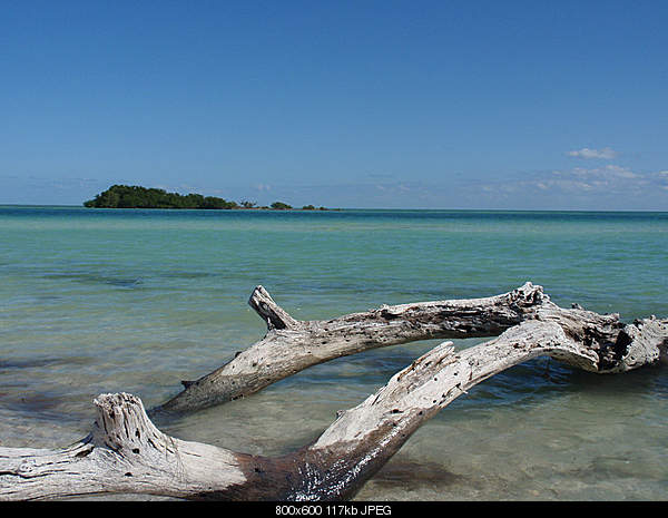 Click image for larger version. 

Name:	Saturday August 14, 2010 Bahia Honda, FL.jpg‎ 
Views:	62 
Size:	117.5 KB 
ID:	17881