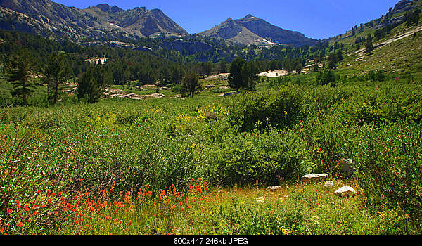 Click image for larger version. 

Name:	Lamoille Canyon, nevada.jpg‎ 
Views:	58 
Size:	246.0 KB 
ID:	17939
