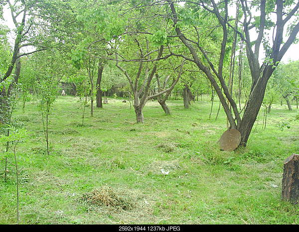 Click image for larger version. 

Name:	PICT0009.JPG 
Views:	502 
Size:	1.21 MB 
ID:	17940