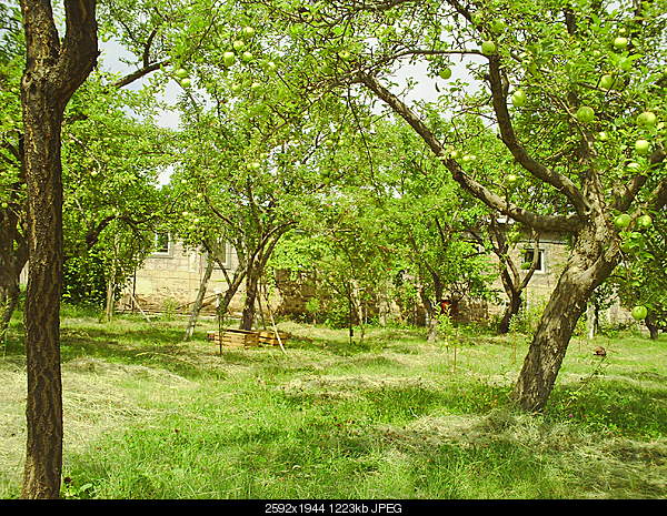 Click image for larger version. 

Name:	PICT0036.JPG 
Views:	497 
Size:	1.19 MB 
ID:	17945
