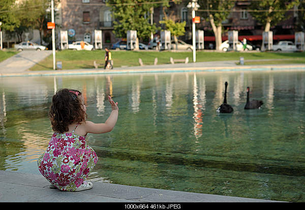 Click image for larger version. 

Name:	DSC_8008.jpg 
Views:	46 
Size:	460.8 KB 
ID:	17952