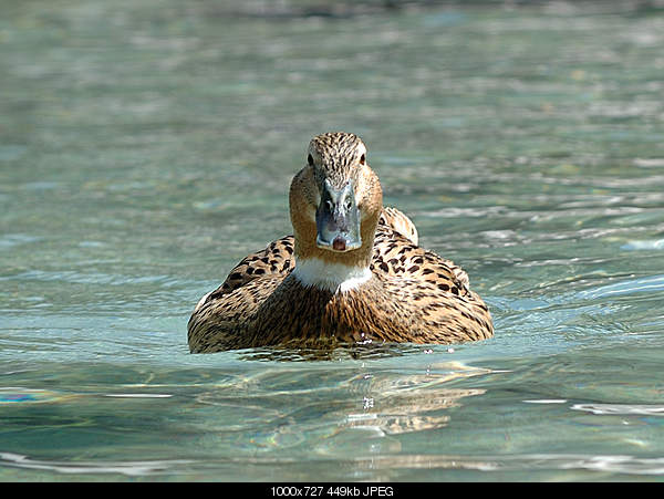 Click image for larger version. 

Name:	DSC_6454.jpg 
Views:	51 
Size:	449.1 KB 
ID:	17980