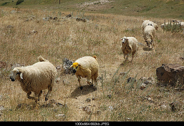 Click image for larger version. 

Name:	DSC_7196.jpg 
Views:	60 
Size:	691.6 KB 
ID:	18012