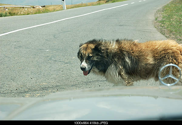 Click image for larger version. 

Name:	DSC_7203.jpg 
Views:	92 
Size:	417.6 KB 
ID:	18014