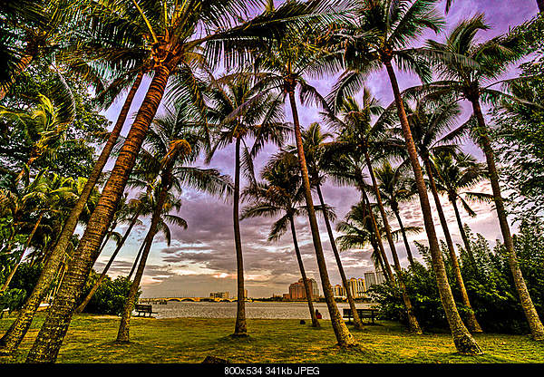 Click image for larger version. 

Name:	Friday August 20, 2010 Palm Beach, FL.jpg‎ 
Views:	65 
Size:	341.3 KB 
ID:	18215