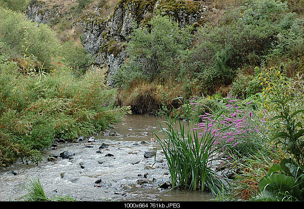 Click image for larger version. 

Name:	DSC_8220.jpg 
Views:	64 
Size:	761.0 KB 
ID:	18275