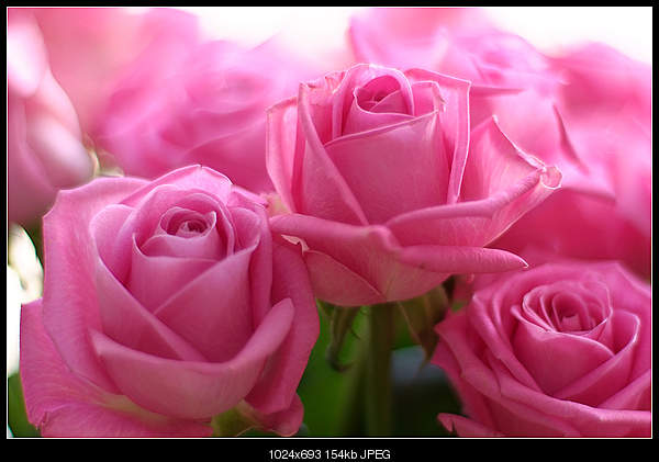 Click image for larger version. 

Name:	1302939.jpg 
Views:	38 
Size:	153.8 KB 
ID:	18294